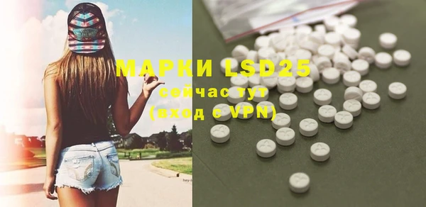 стафф Аркадак