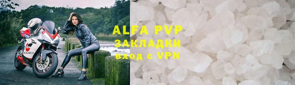 стаф Арсеньев