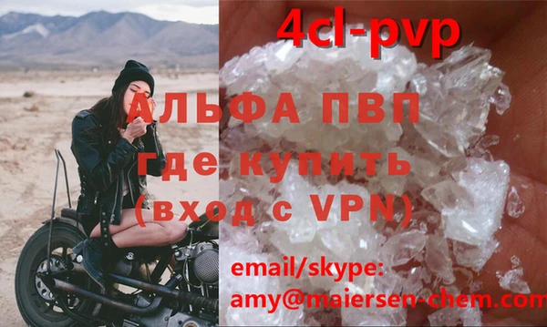 стаф Арсеньев