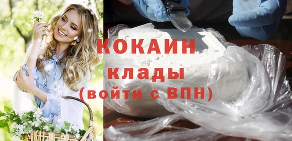 стаф Арсеньев