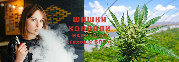стаф Арсеньев
