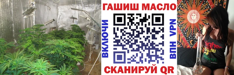 ТГК вейп  Купить где  Белая Холуница 